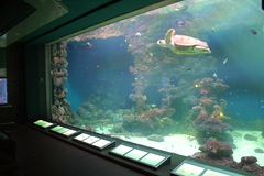 Killikus&reg; Fotographie